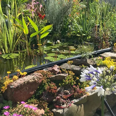 Le Jardin D'olivier