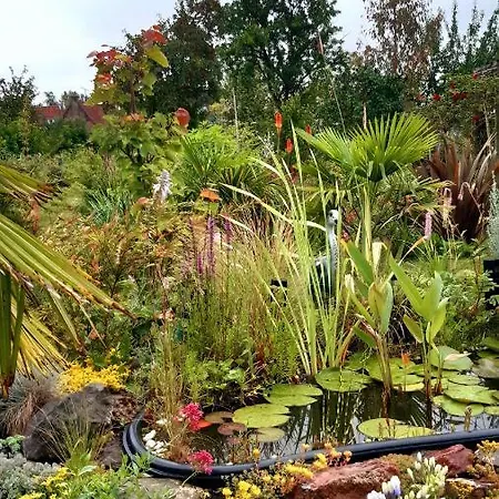 Le Jardin D'olivier * Marconne
